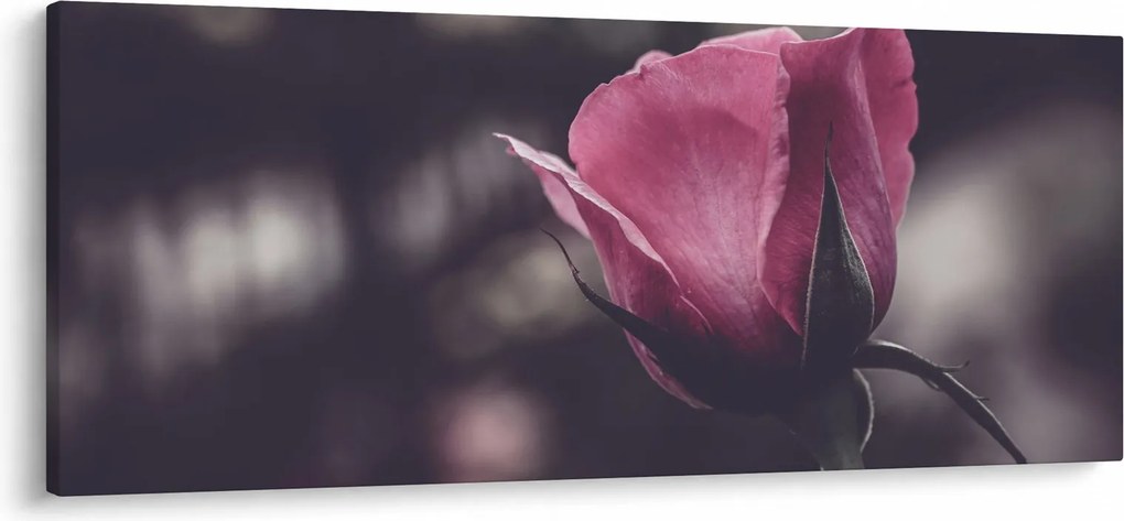 Kép - Rózsa virág részlete (120x50 cm)
