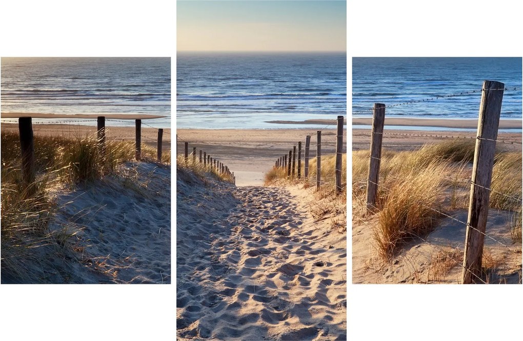 Kép - Út az északi-tengeri strandra, Hollandia (90x60 cm)