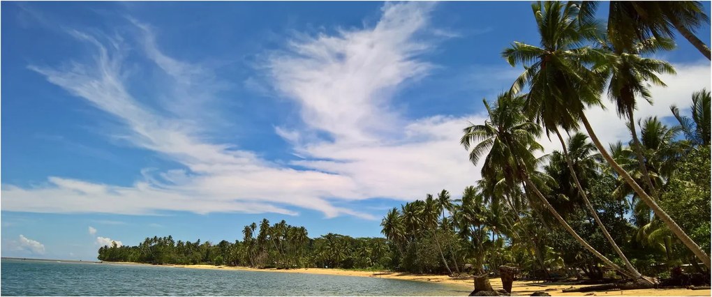Kép a strandról (120x50 cm)