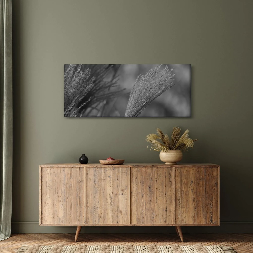 Kép - Szárított pampafű (120x50 cm)