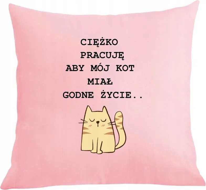 Párna párnahuzat, hogy macskámnak méltó élete legyen