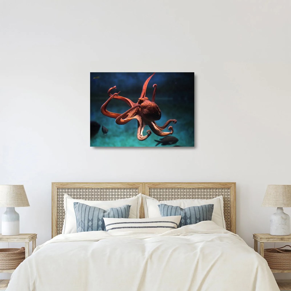 Üveg kép - Octopus (70x50 cm)