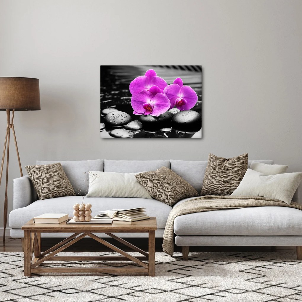 Kép - Lila orchideák (70x50 cm)