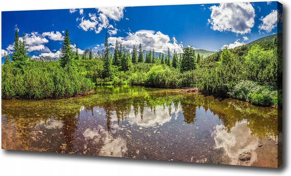 Vászonkép Tó az erdőben 100x70 cm