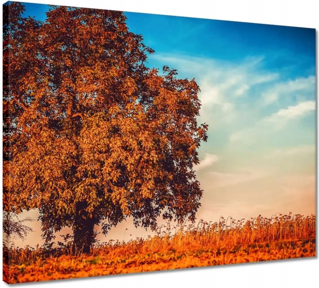 Vászonkép 50x40 Őszi színek Tájkép