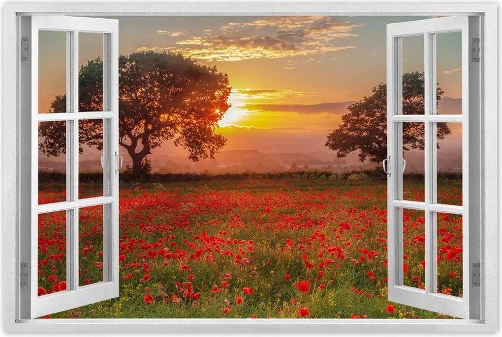 Poszterek 60x40 Pipacsok a mezőn Tájkép