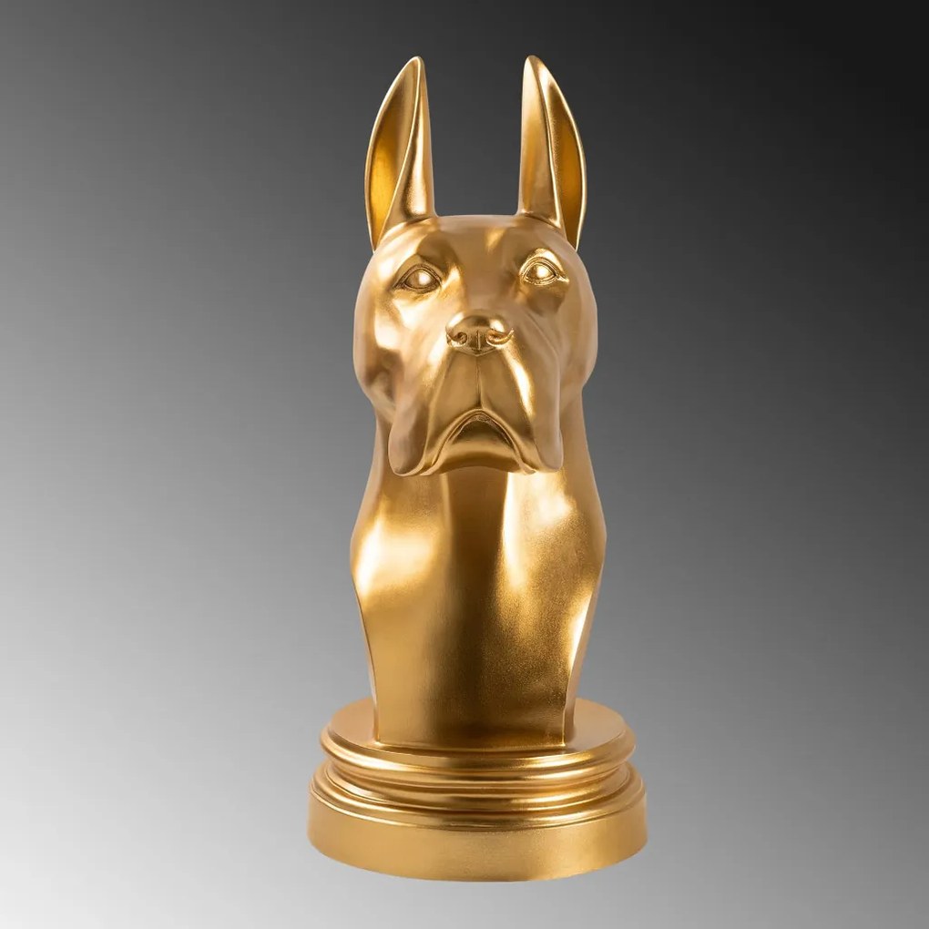 Danua Dog