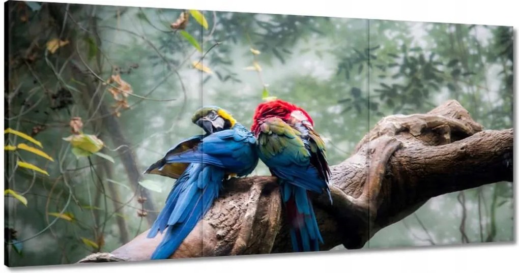 Vászonkép 180x90 Szerelmes papagájok
