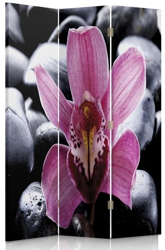 Gario Paraván Zen orchidea virággal Méret: 145 x 170 cm, Kivitelezés: Klasszikus paraván