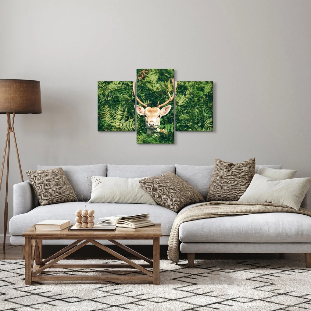 Kép - őz fej részlete (90x60 cm)