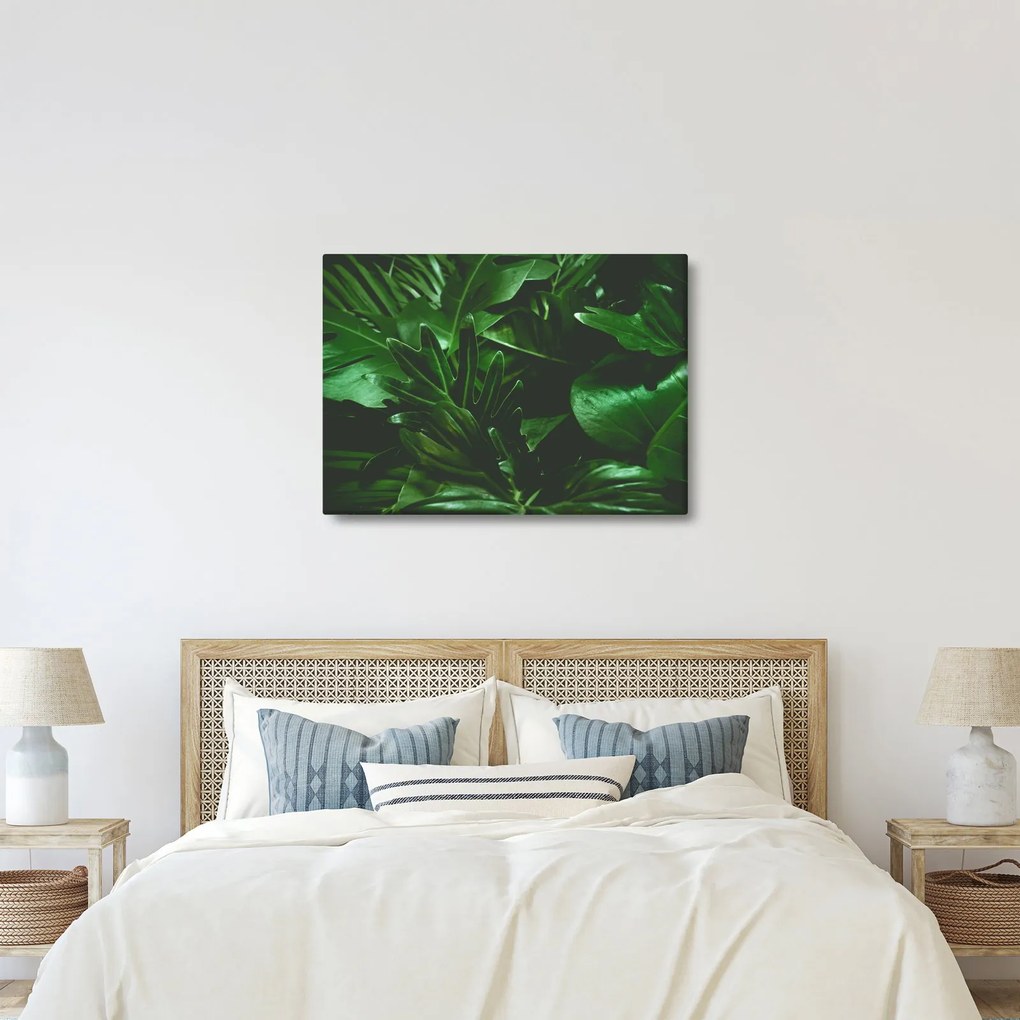 Kép - Pálmalevél (70x50 cm)