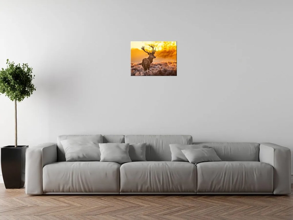 Gario Vászonkép Eros szarvas Méret: 100 x 70 cm