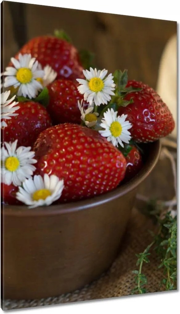 Festmények 80x120 Konyhai képek Forradalmak