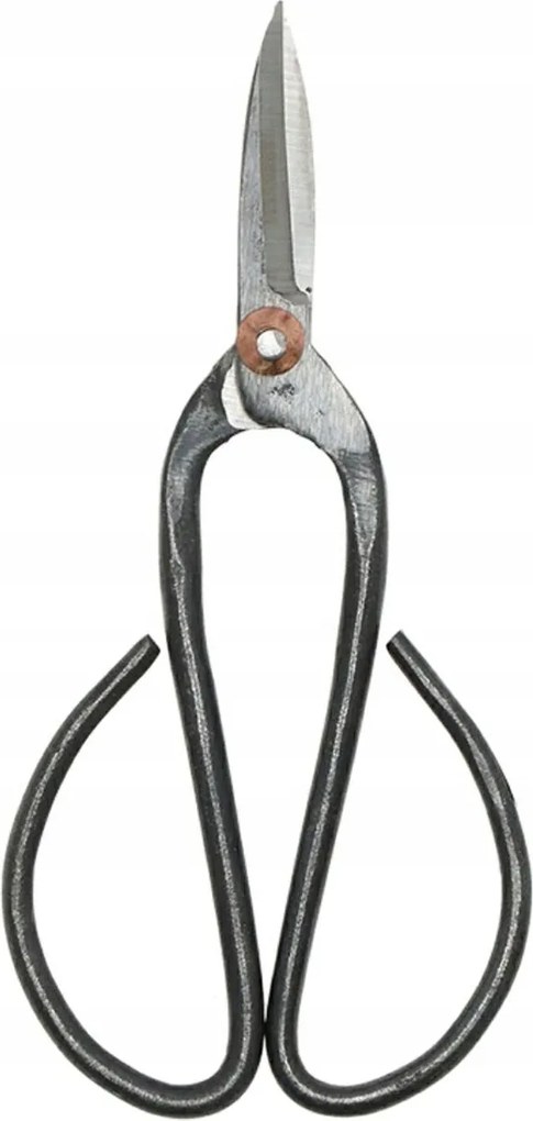 Olló Olló Metszőolló Bonsai Virágok Formázásához Erős Acél