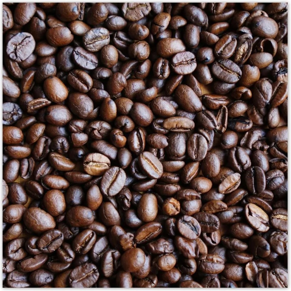Poszterek 100x100 Szemes kávé