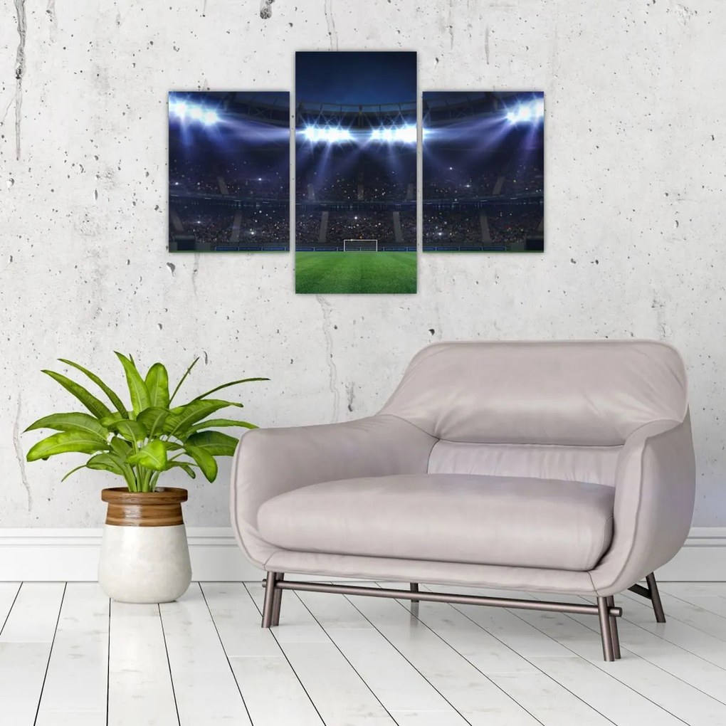 Kép - Labdarúgó stadion (90x60 cm)