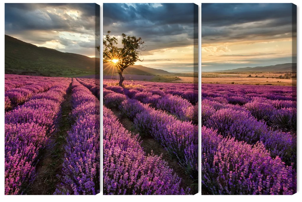 Lavender Sunset vászonkép - 60x40 cm