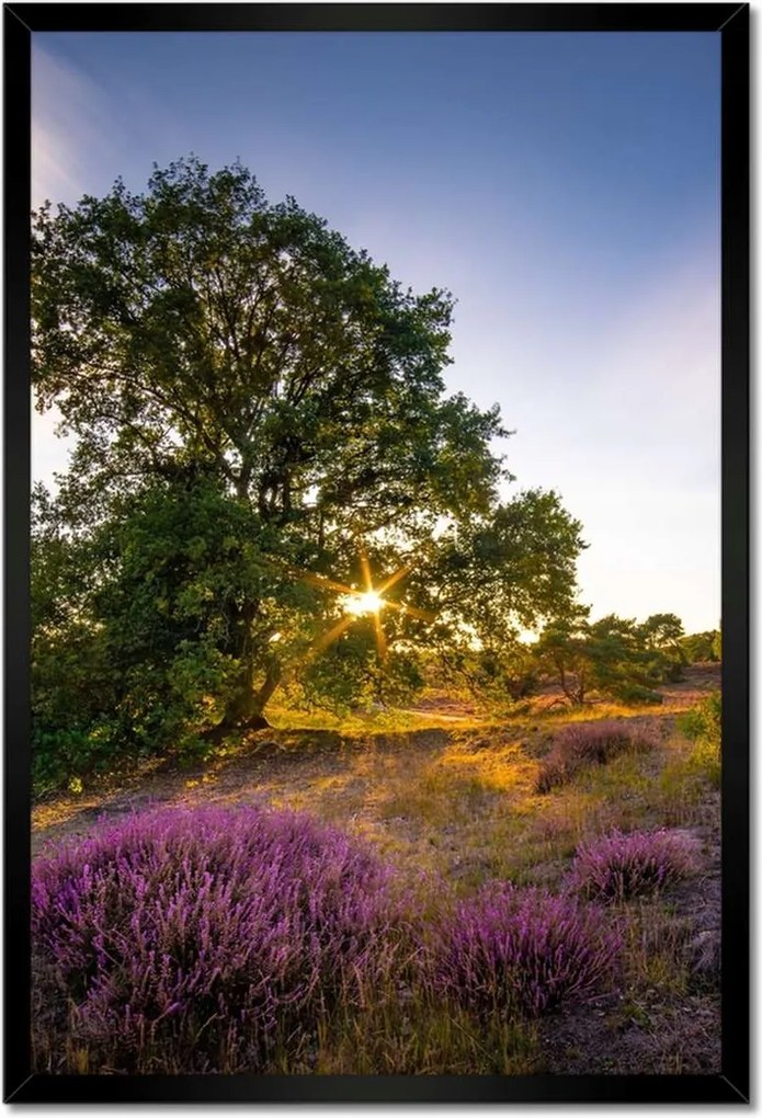 Poszterek keretben 40x60 Tájkép Látvány