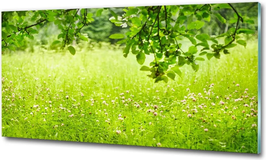 Fotó kép edzett üveg Korallzátony 100x70