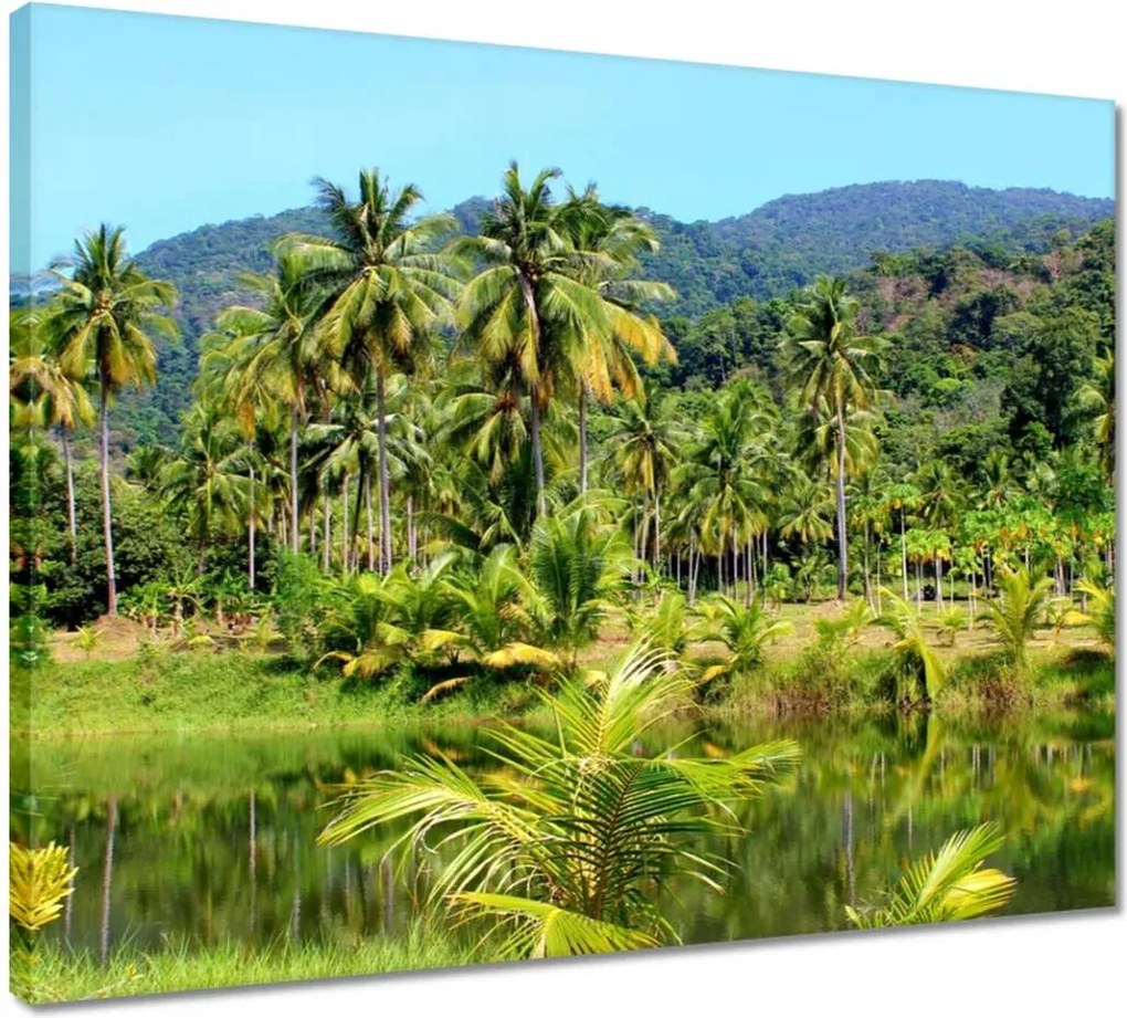 Vászonkép 50x40 Gyönyörű amazon