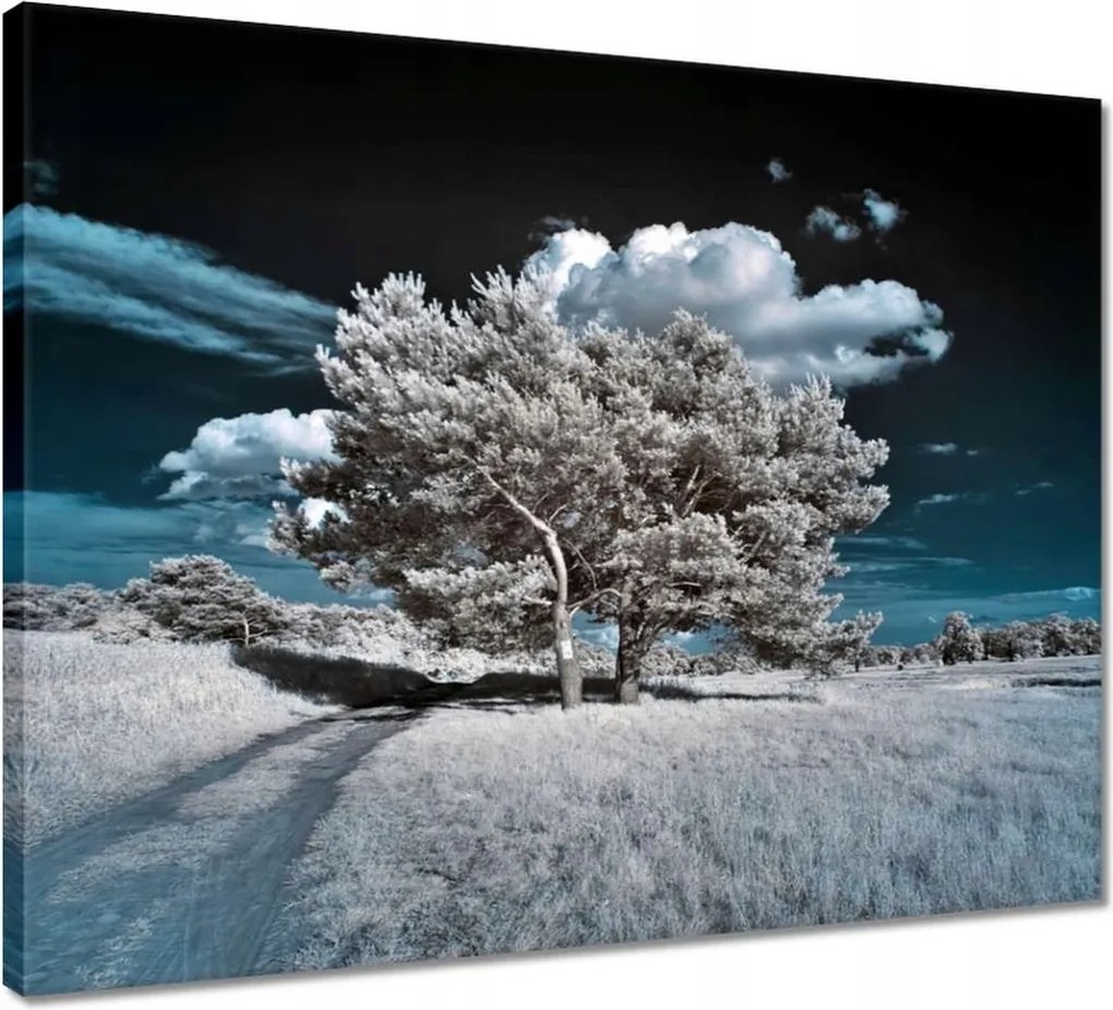 Vászonkép 50x40 Fa