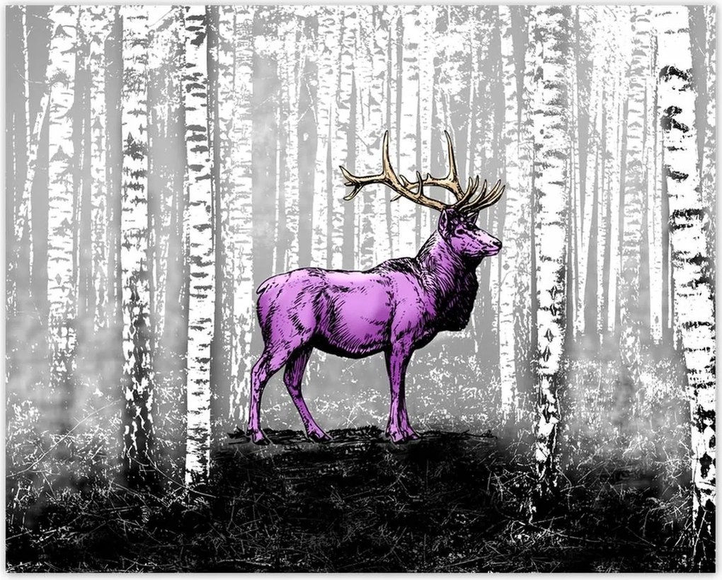 Poszterek 50x40 Szarvas Nyírfa Erdő