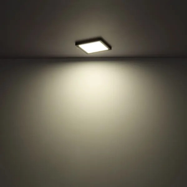 Globo 12380-24W - LED Mennyezeti lámpa LASSE LED/24W/230V 3000/4000/6500K fehér