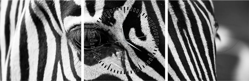 Zebra képe (órával) (90x30 cm)