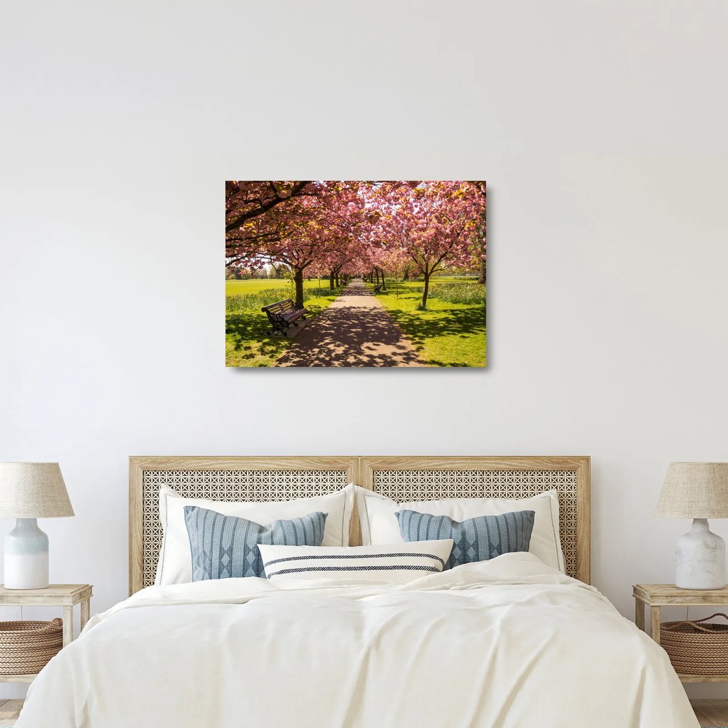 Kép - cseresznye ültetvény (üvegen) (70x50 cm)