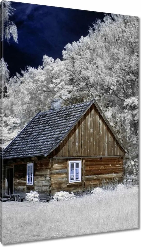 Vászonkép 80x120 Rönkház