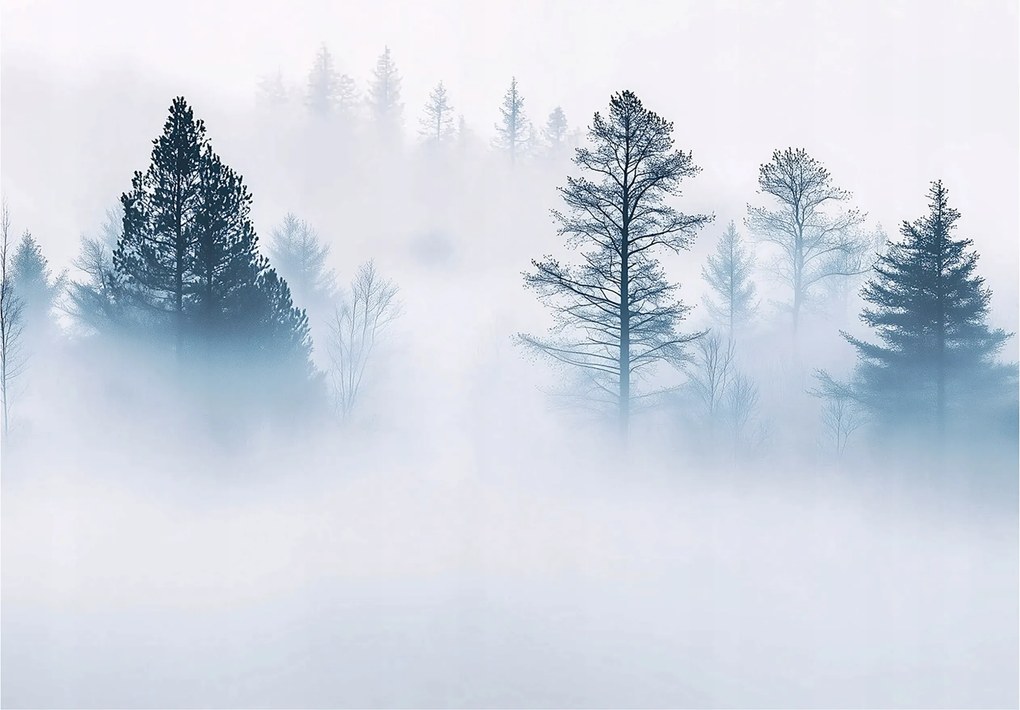 Fotótapéta Erdő A Ködben Fa Hálószoba Nappali Tapéta Flizelina 150x105