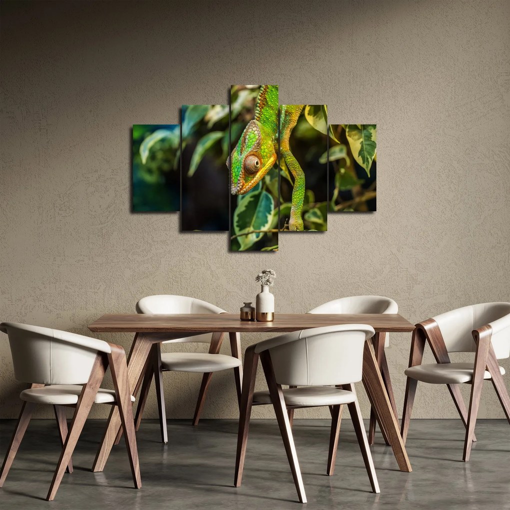 Kaméleon képe (150x105 cm)