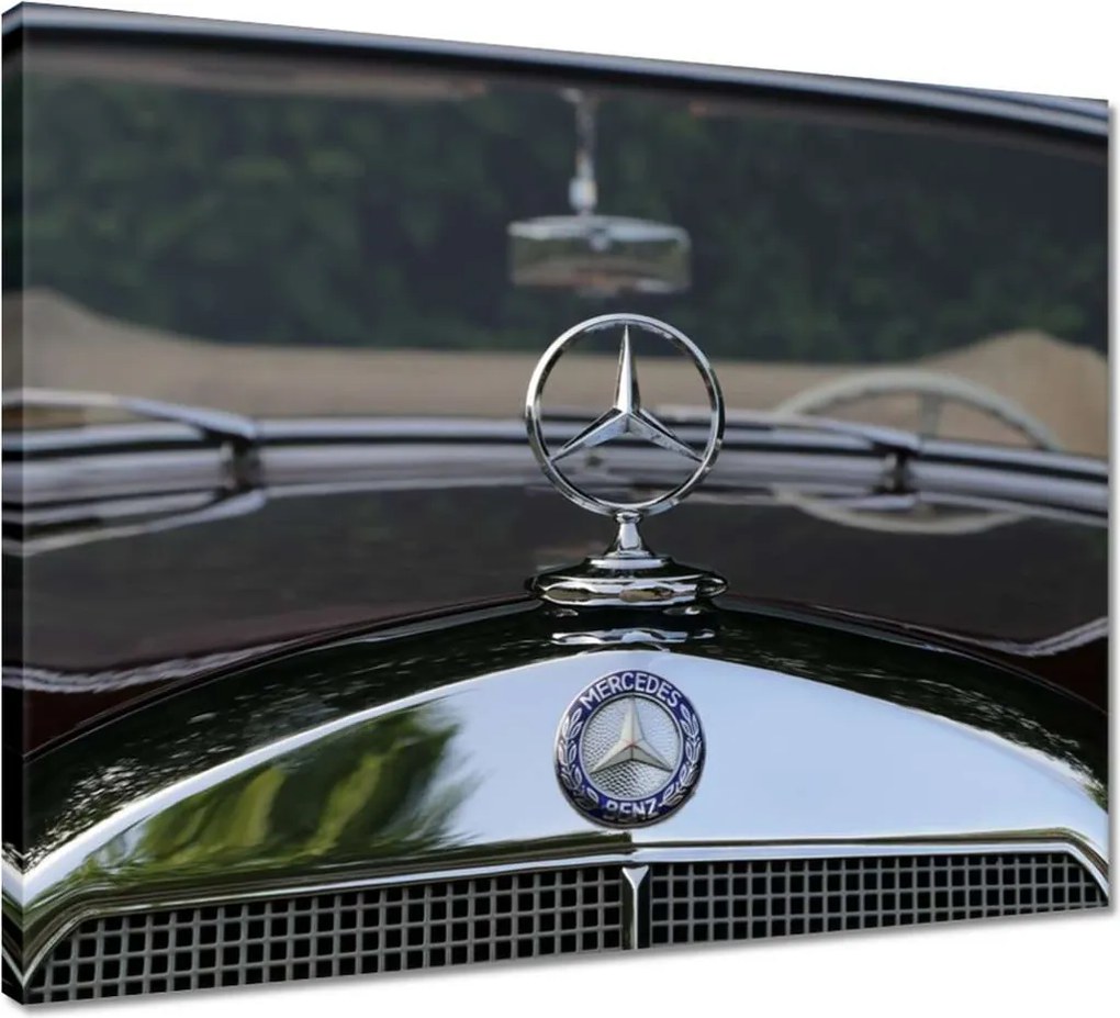 Vászonkép 50x40 Mercedes Benz bélyeg