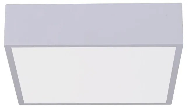 Immax NEO 07238L - LED dimmelhető mennyezeti lámpa CANTO 22W/230V fehér Tuya + t