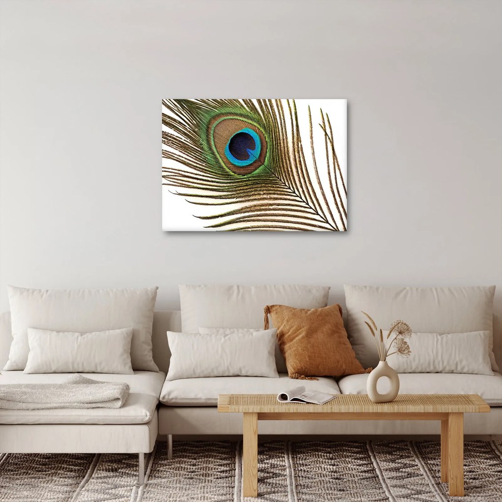 Pávatoll képe (70x50 cm)