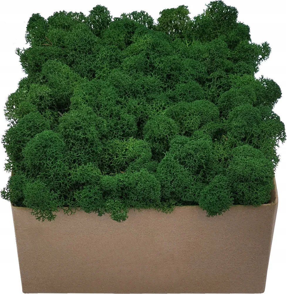 Moha Prémium Erdei Zöld Karton 300g