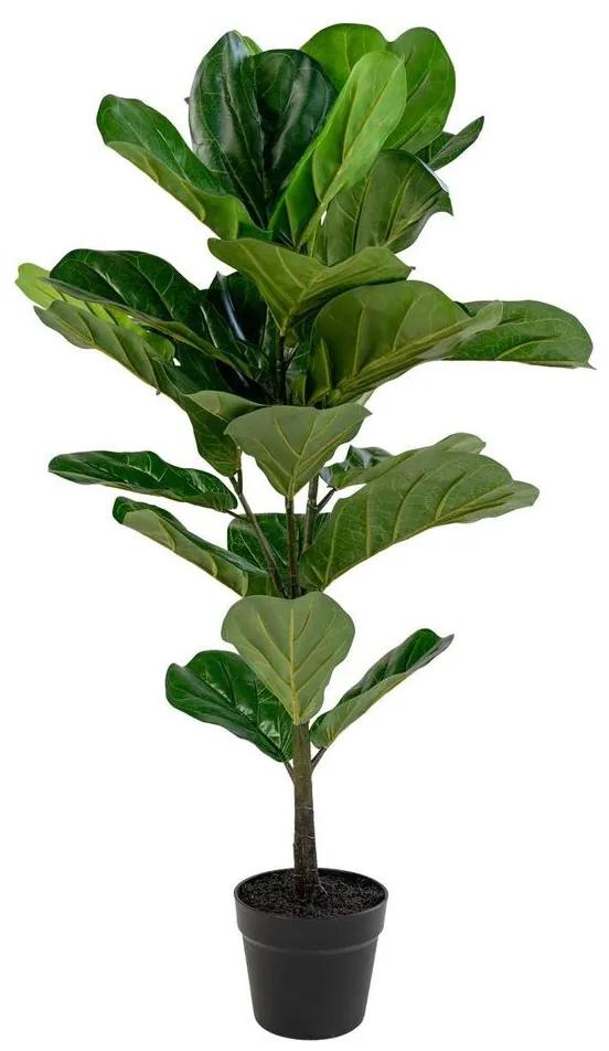Műnövény, lantlevelű fikusz, 100 cm - FICUS