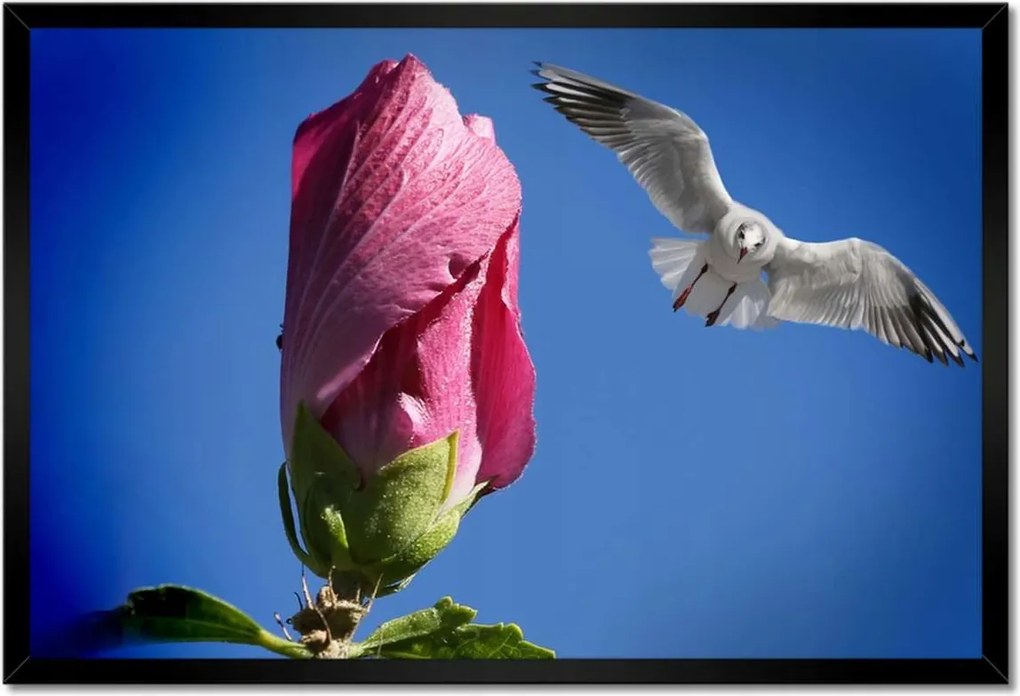 Poszterek keretben 60x40