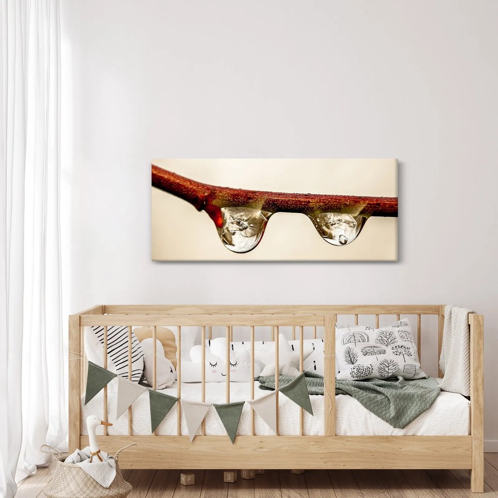 Vízcseppek a faágon képe (120x50 cm)