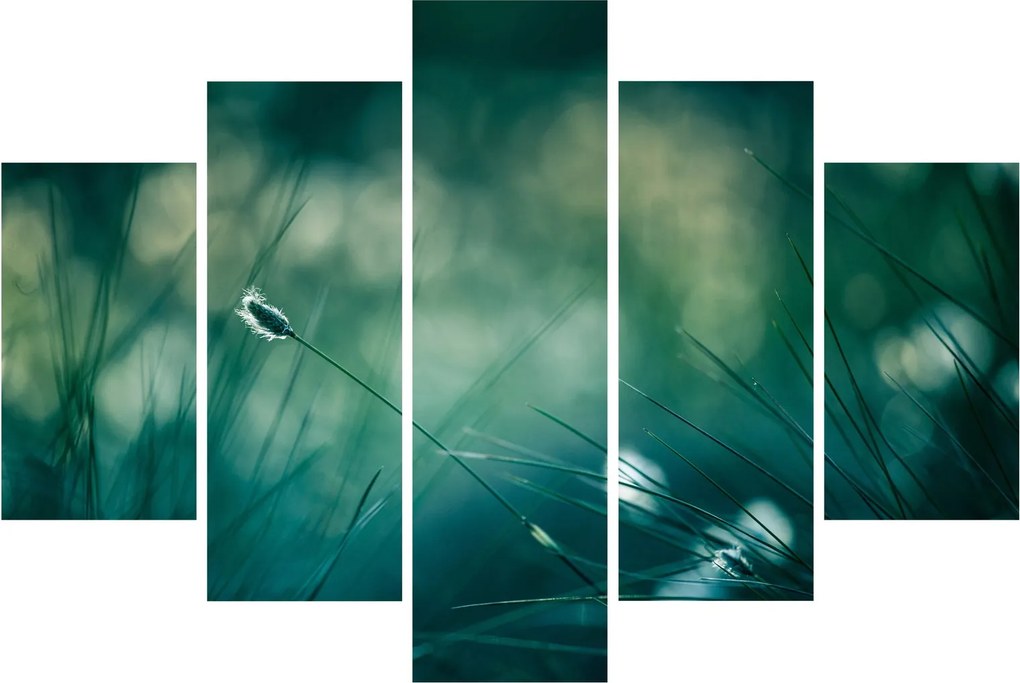 Kép - A fű részlete (150x105 cm)