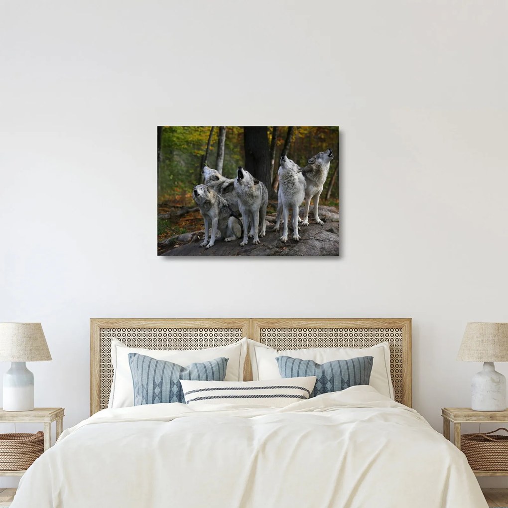 Üveg kép - Farkasok a sziklán (70x50 cm)