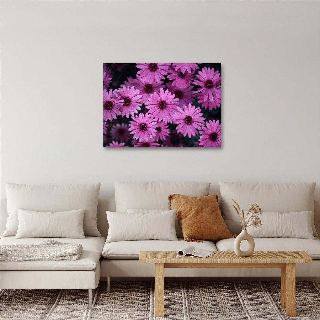 Rózsaszín virágok képe (70x50 cm)