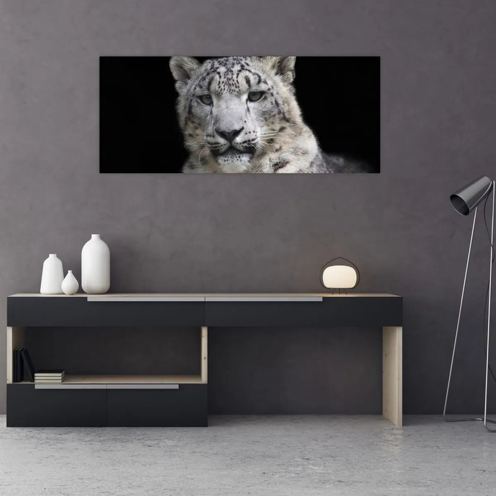 Kép - Snow Leopard (120x50 cm)