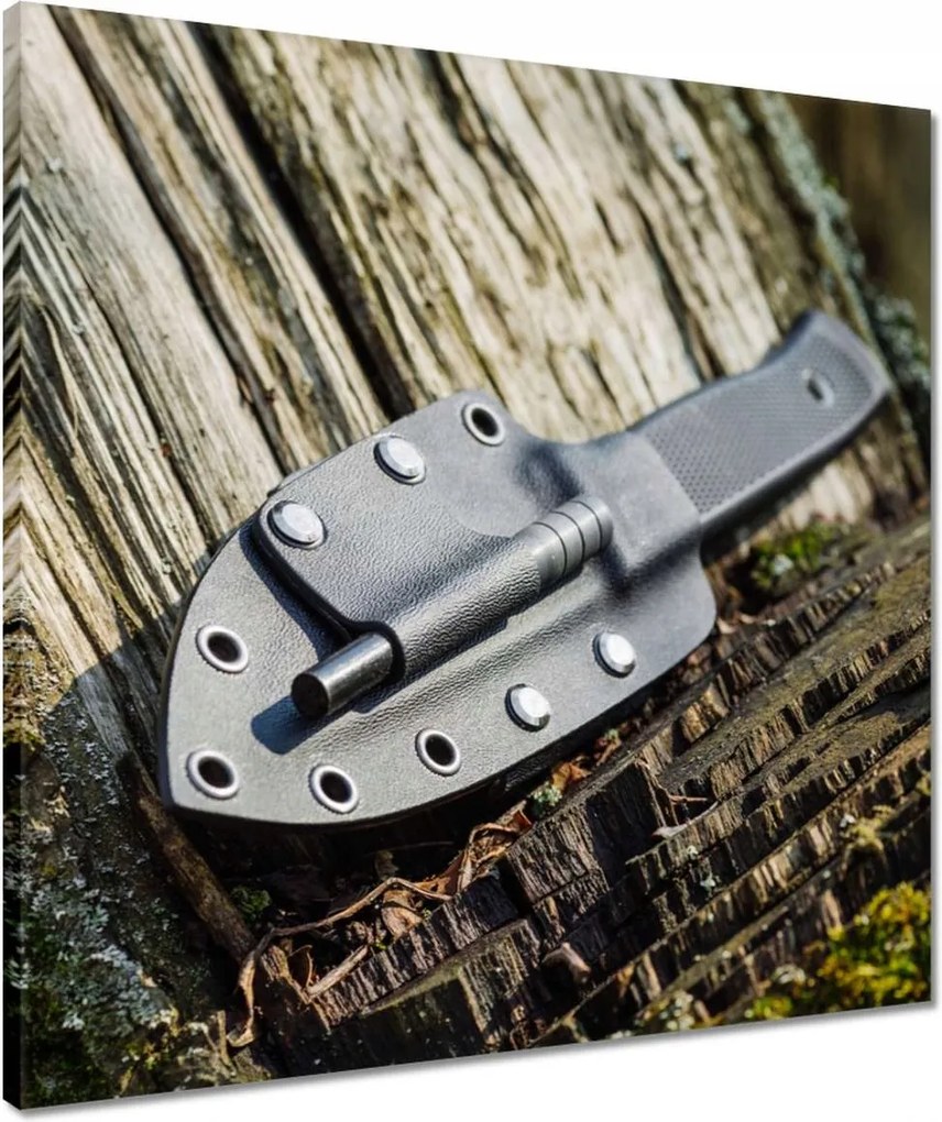 Vászonkép 50x50 Kés a tokban az erdőben