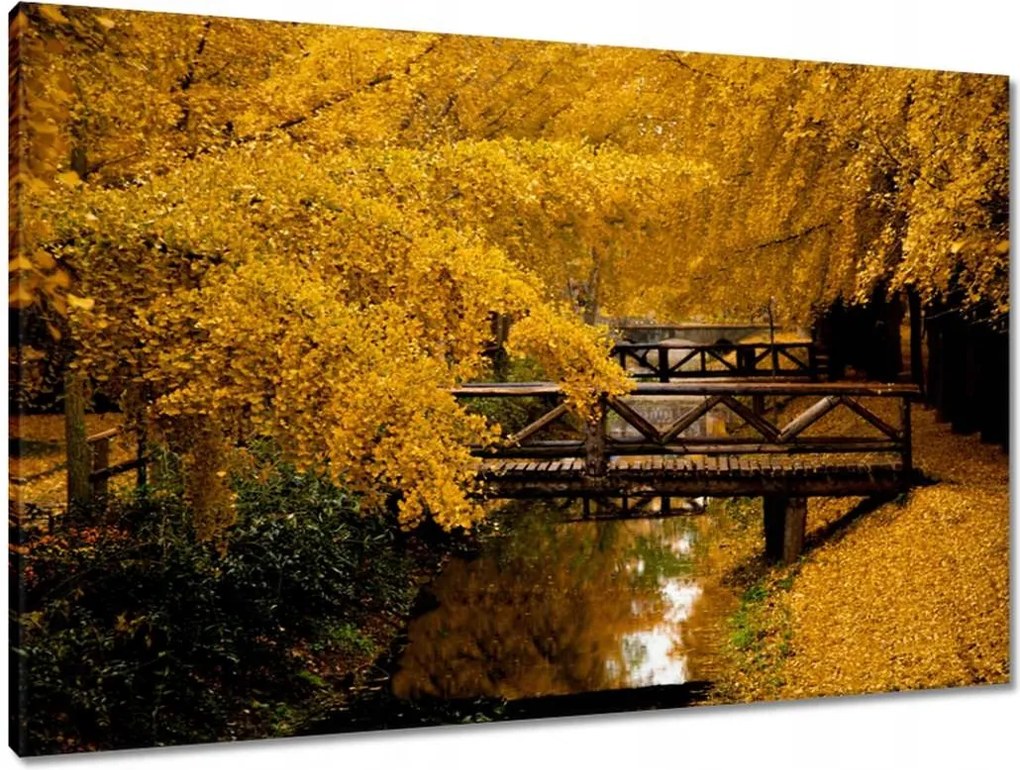 Vászonkép 90x60 Tájkép Látvány