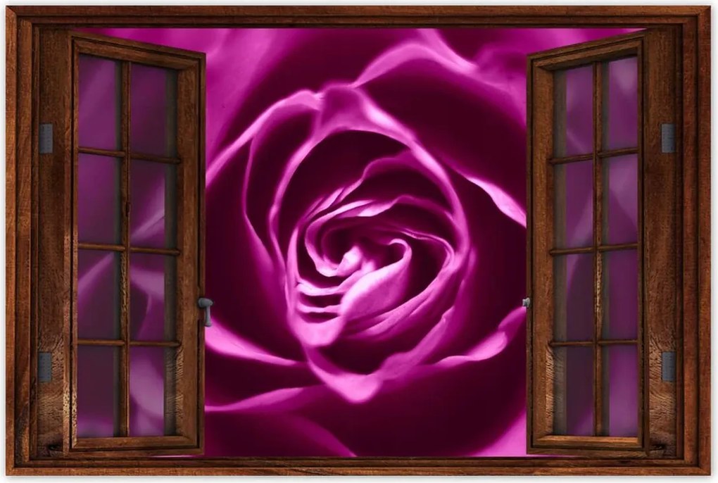 Poszterek 60x40 Lila rózsa Makrofotó