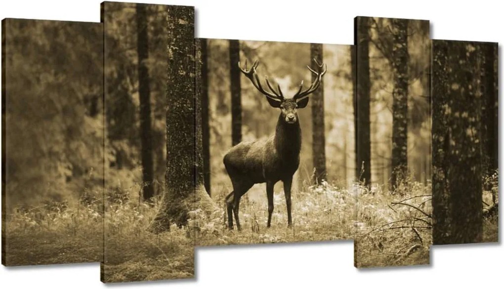 Képek 120x65 Szarvas a szépia erdőben