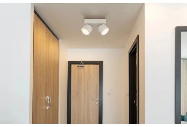 Globo 56961-2S - LED spotlámpa RAE 2xLED/6W/230V