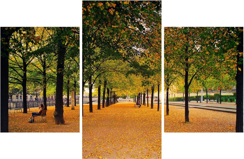Egy kép az őszi fák sikátorából (90x60 cm)