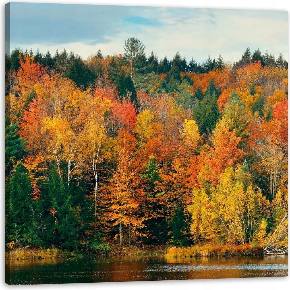 Vászonkép Színes Levelek Fák Ősz Természet 60X60 cm